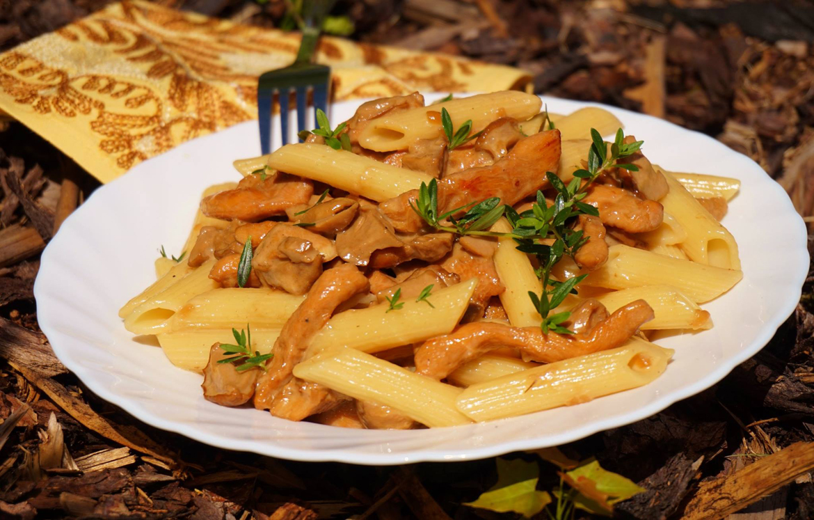 Penne s kuřecím masem a hříbkovou omáčkou